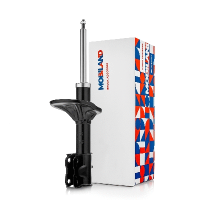 Shock Absorber (134102950)
