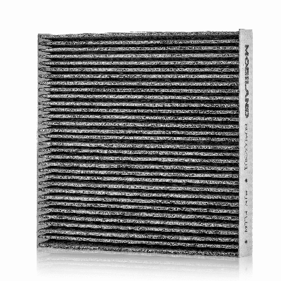Filter, cabin air (804002301)