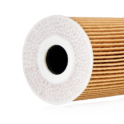 Oil Filter (802002920)