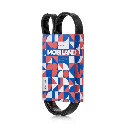 V-Ribbed Belt (501271153)