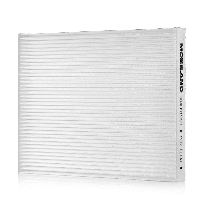 Filter, cabin air (804001910)