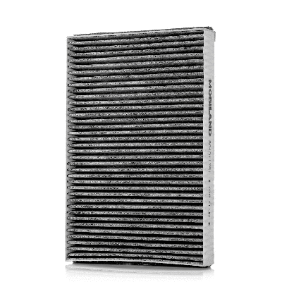 Filter, cabin air (804001751)
