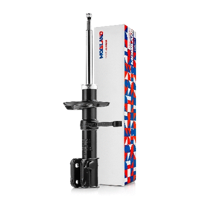 Shock Absorber (134116950)