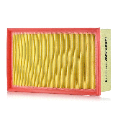 Air Filter (801001690)