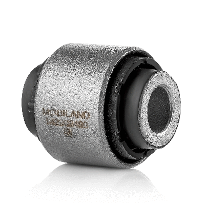 Mounting, control/trailing arm (142202490)