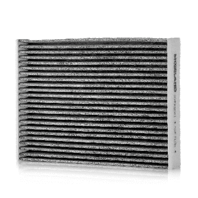 Filter, cabin air (804002041)