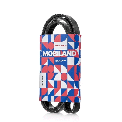 V-Ribbed Belt (501261218)