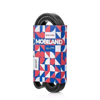 V-Ribbed Belt (501261613)
