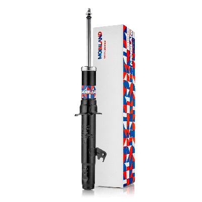 Shock Absorber (134112900)