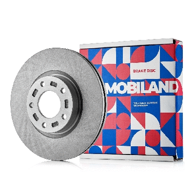 Brake Disc (416102801)