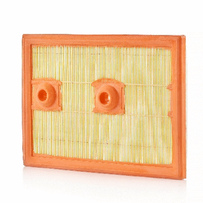 Air Filter (801001960)