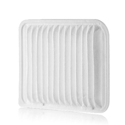 Air Filter (801001970)