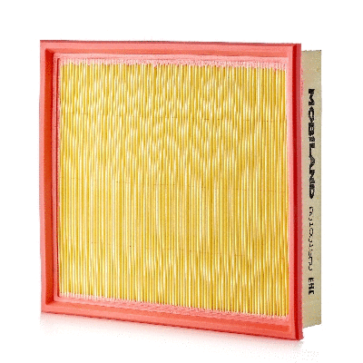 Air Filter (801001560)
