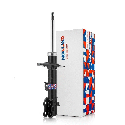 Shock Absorber (134112690)