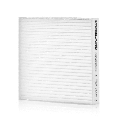 Filter, cabin air (804002530)