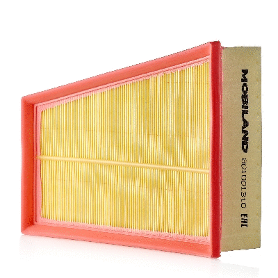 Air Filter (801001310)