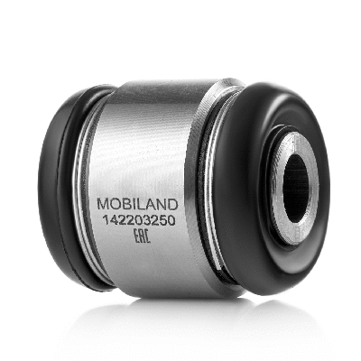 Mounting, control/trailing arm (142203250)