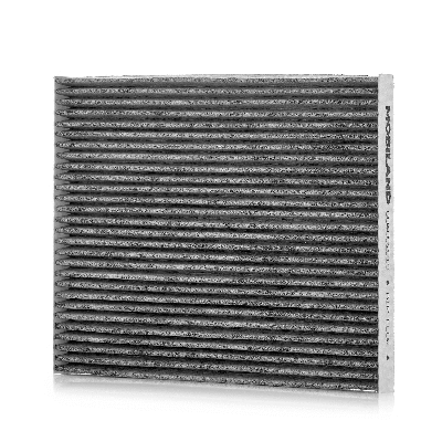Filter, cabin air (804002010)