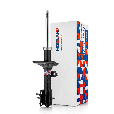 Shock Absorber (134112120)