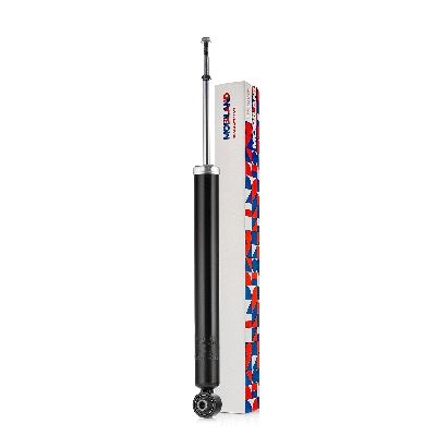 Shock Absorber (134205210)