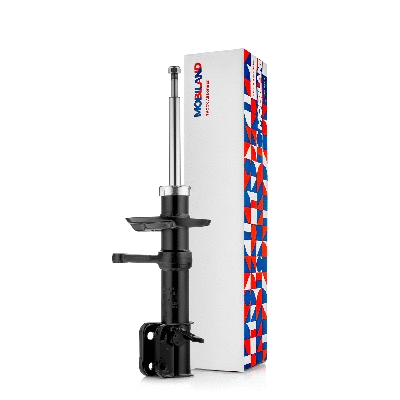 Shock Absorber (134116980)