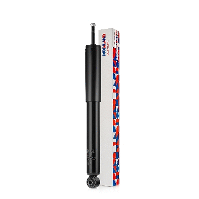 Shock Absorber (134205900)