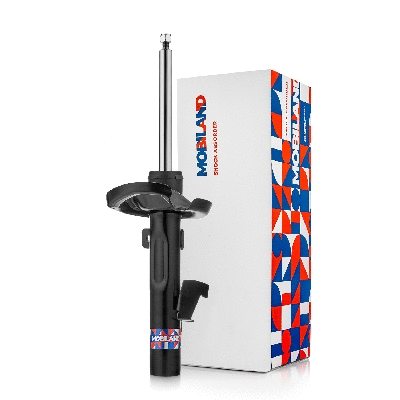 Shock Absorber (134122360)