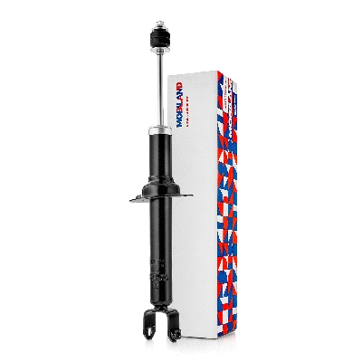 Shock Absorber (134205800)