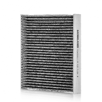 Filter, cabin air (804002111)