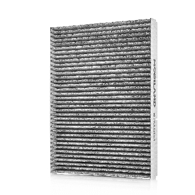 Filter, cabin air (804002151)