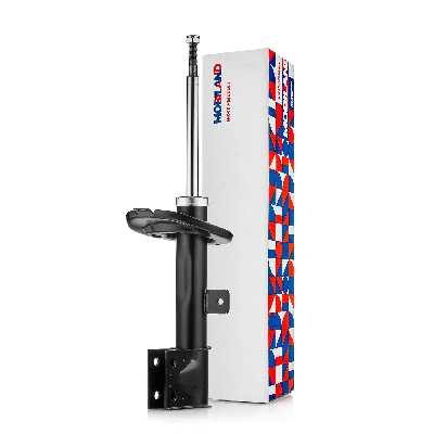 Shock Absorber (134115490)