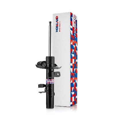 Shock Absorber (134124360)