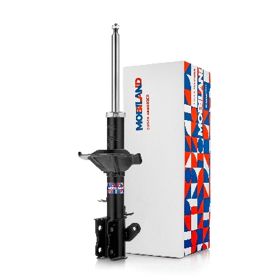 Shock Absorber (134212820)