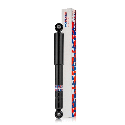 Shock Absorber (134203450)