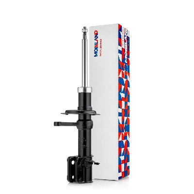 Shock Absorber (134126780)