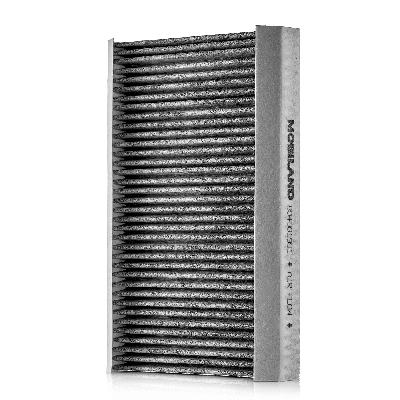 Filter, cabin air (804001991)