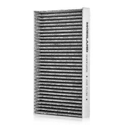 Filter, cabin air (804002691)