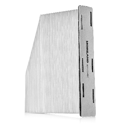 Filter, cabin air (804001450)