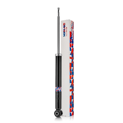 Shock Absorber (134203670)