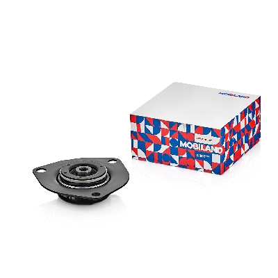 Suspension Strut Support Mount (137100171)