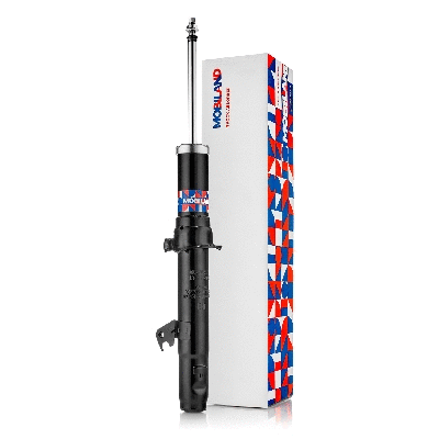 Shock Absorber (134122940)