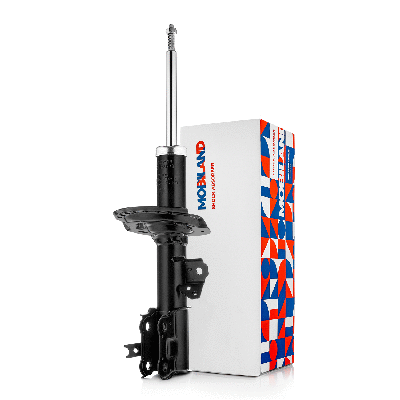 Shock Absorber (134123070)