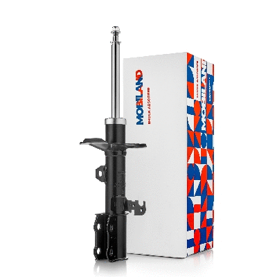 Shock Absorber (134123900)