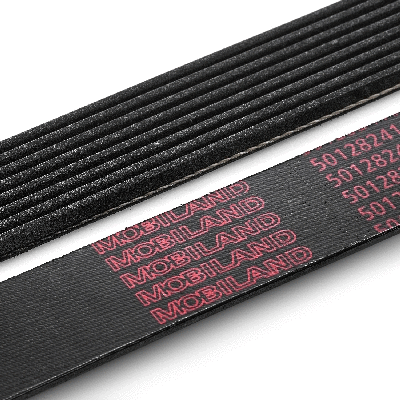 V-Ribbed Belt
