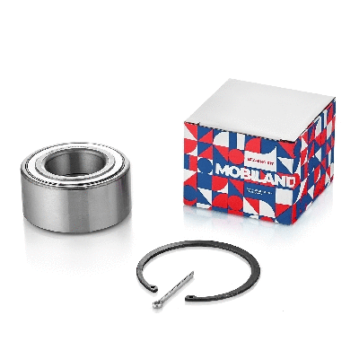 Wheel Bearing (219202980)