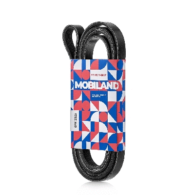 V-Ribbed Belt (501262625)