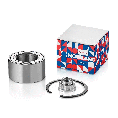 Wheel Bearing (219101640)