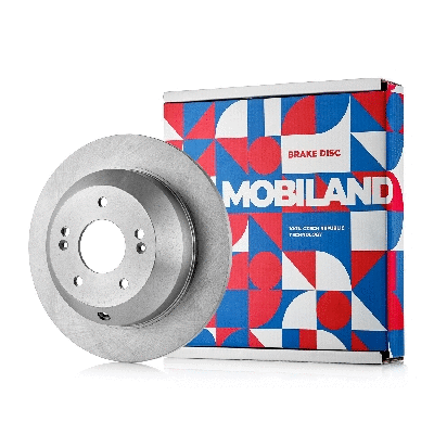 Brake Disc (416201680)
