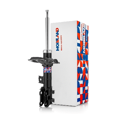 Shock Absorber (134122540)