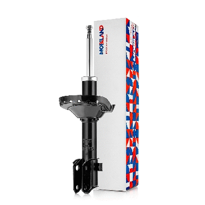 Shock Absorber (134125440)